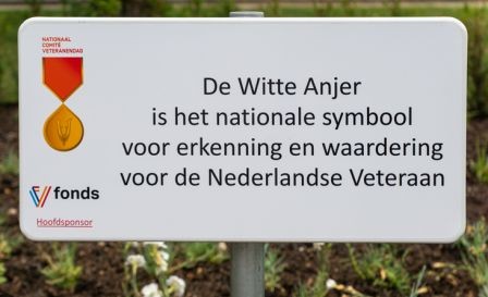 De Witte Anjer