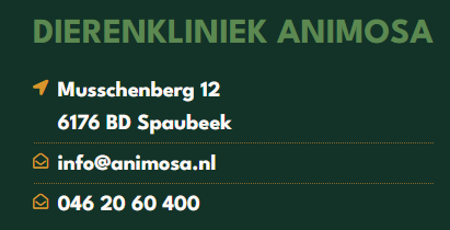 Info