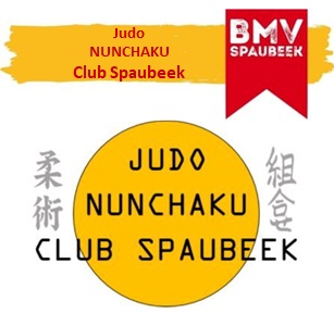 Judo logo