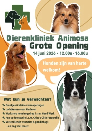 Opening
