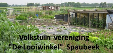 Tuin