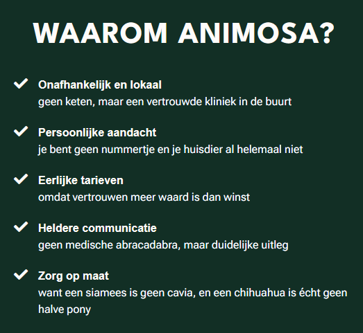 Waarom