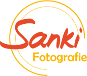 Sanki logo